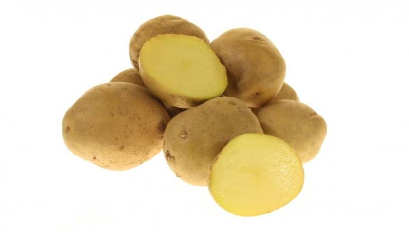 d91308436a44eb6c538c252f734ebc52 Картопля Луговський: опис та характеристика сорти, вирощування і догляд, фото