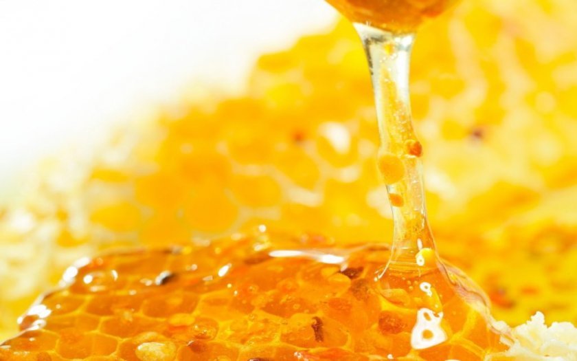 f067d9b228124944b6a9f5581a77c511 Скільки можна їсти меду в день без шкоди для здоровя: норми і особливості вживання