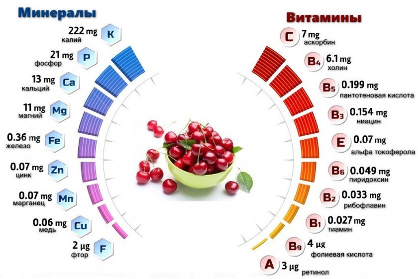 f8c9ee229b240f28fb1ae2e35eb92ed1 Вживання вишневого компоту при грудному вигодовуванні: користь і шкода, калорійність, норми вживання