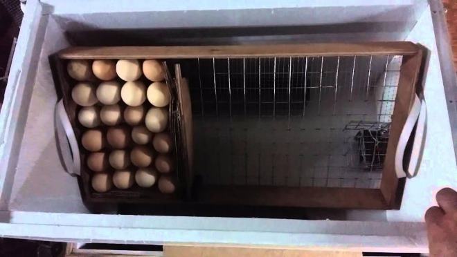 inkubator dlya gusinykh yaic: sozdanie svoimi rukami ili vybor modelejj32 Інкубатор для гусячих яєць: створення своїми руками або вибір моделей