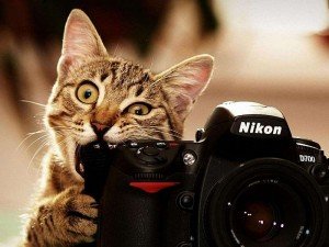Як вибрати найкращий дзеркальний фотоапарат для початківця? Рейтинг фотоапаратів 2014 2015. Як вибрати найкращий дзеркальний фотоапарат для початківця? Рейтинг фотоапаратів 2014 2015.
