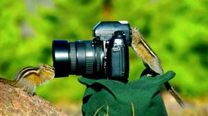 Як вибрати найкращий дзеркальний фотоапарат для початківця? Рейтинг фотоапаратів 2014 2015. Як вибрати найкращий дзеркальний фотоапарат для початківця? Рейтинг фотоапаратів 2014 2015.