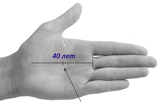 0476aa6ef493f4e12b6bc5acb4a16e8c Хіромантія для початківців: значення ліній на долоні. Попередній аналіз рук