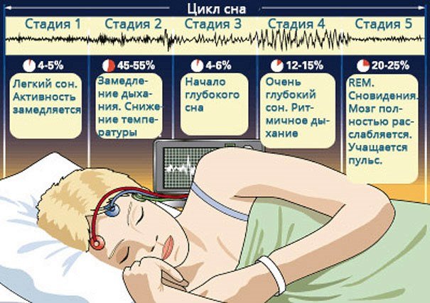 6054411a717a3c569355b8af917b5d19 Повільний і швидкий сон — добова норма для дорослих і дітей. Фази сну
