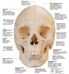 79e7585f5adf193f8d0165eb3d834953 Перелом основи черепа: наслідки, виживаність, симптоми