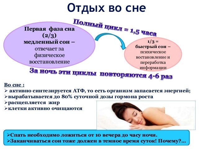 9e1199793f41363fd8e5142f94d294f9 Повільний і швидкий сон — добова норма для дорослих і дітей. Фази сну
