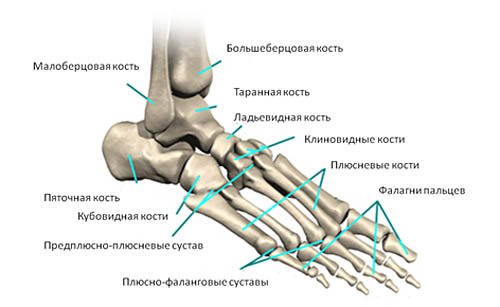 a2f17fe957f7d8f24521c878e3de8129 Перелом плеснової кістки стопи: скільки ходити в гіпсі, реабілітація