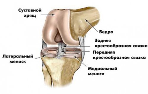 bfce651135b1c79d8b00418e75a1047b Розтягнення звязок колінного суглоба: лікування в домашніх умовах