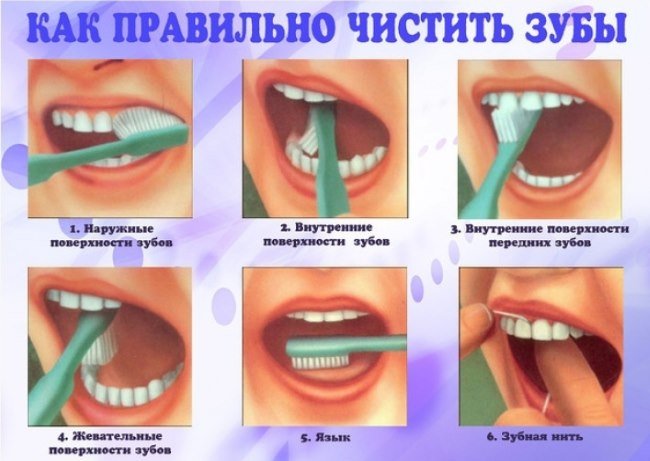 c054c05305bfc854c27698f25fc2ed54 Як правильно чистити зуби дітям і дорослим. Коли, скільки хвилин, скільки разів на день
