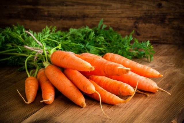 85c03ac83b1361eccf6174c15741677a Як садити моркву насінням у відкритому грунті