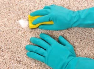 0b5235e569830553f9f944c5563762dc Як почистити килим в домашніх умовах