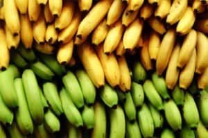 4ab1460db31c46077e74b1d150291fd1 Як правильно зберігати банани (Відео)
