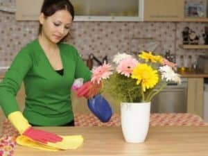 d1ce4371c98d3fb17b4deeb59196cd83 Як зробити прибирання в будинку (Відео)