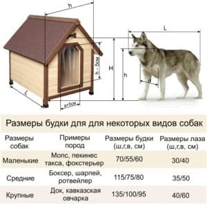 f2c71bd3b418f2da37e201d144803350 Як побудувати будку для собаки своїми руками