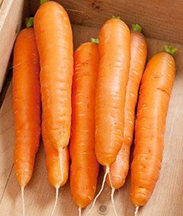 1112f97865e7d41fbf7cc71c4d395fd6 Як зберігати моркву в погребі взимку
