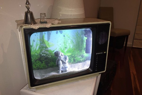 f08816fb61743e92d12263b8522e3977 Стилізуємо акваріум під ламповий телевізор