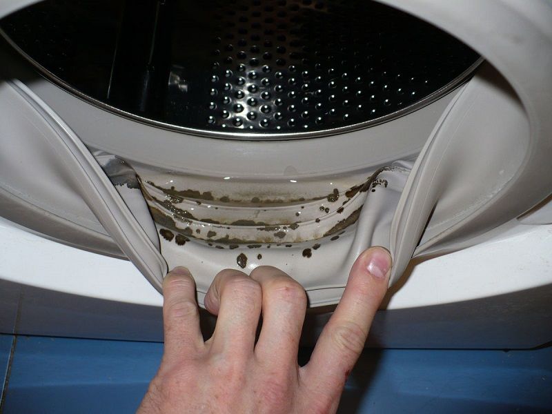 3cf9a1eebf5de6dd52eb6d56d08dc69d Як очистити резину в пральній машині: 8 засобів