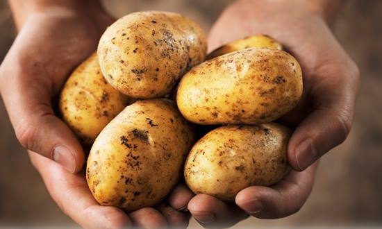  Рецепти картопляної запіканки з куркою, приготовленої в духовці