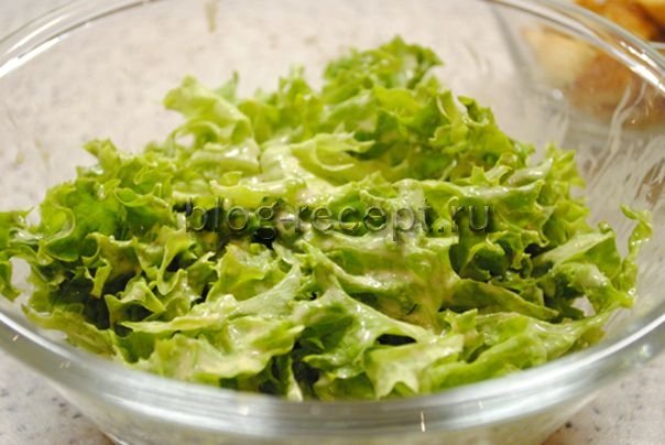 43c99b4b1323e7f1d78fc85262e95c65 Класичний і простий рецепти салату «Цезар» з куркою, покрокові з фото