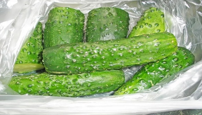  Як засолити малосольні огірки в пакет — швидкі рецепти хрустких огірочків