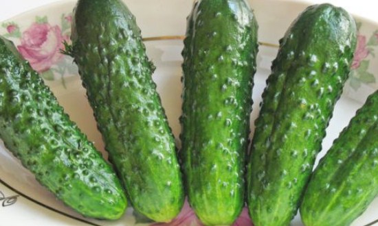  Як засолити малосольні огірки в пакет — швидкі рецепти хрустких огірочків