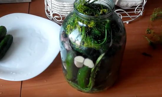  Малосольні огірки швидкого приготування з часником і зеленню