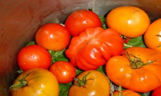  Малосольні помідори — рецепти швидкого приготування
