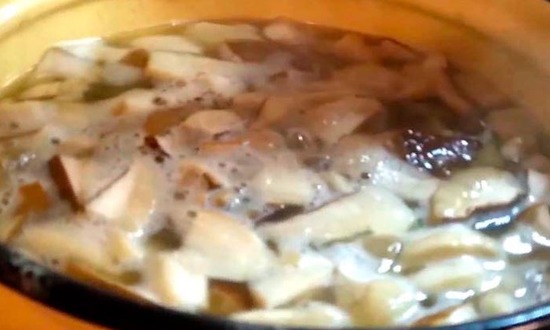  Мариновані білі гриби на зиму в банках — прості рецепти приготування найсмачніших заготовок