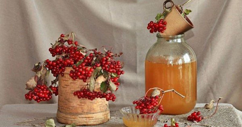 kalina s medom na zimu: recepty prigotovleniya52 Калина з медом на зиму: рецепти приготування