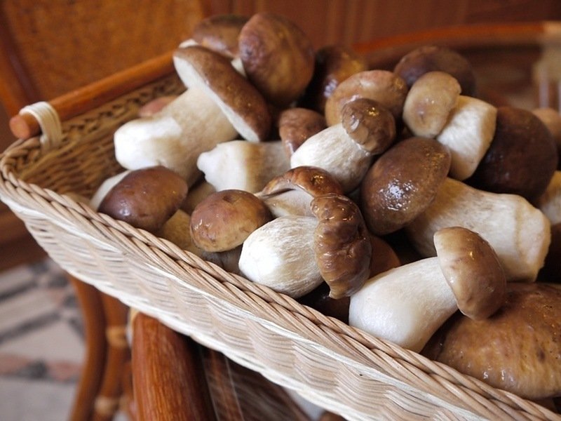 marinovannye belye griby: recept prigotovleniya na zimu216 Мариновані білі гриби: рецепт приготування на зиму
