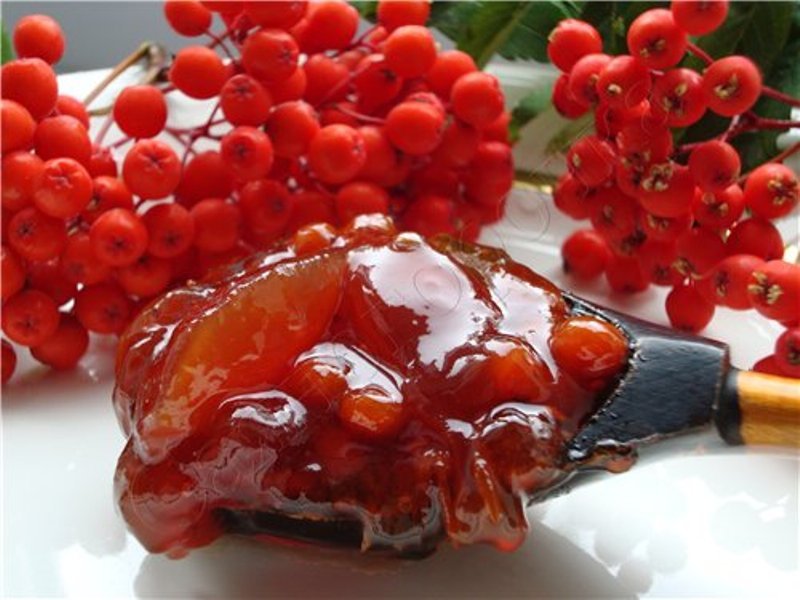 ryabina krasnaya: recepty prigotovleniya na zimu16 Горобина червона: рецепти приготування на зиму