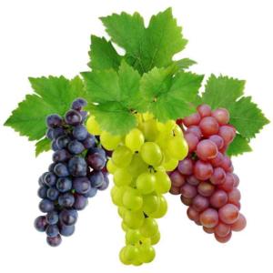 varene iz vinograda: poshagovye recepty s kartinkami i foto342 Варення з винограду: покрокові рецепти з картинками і фото