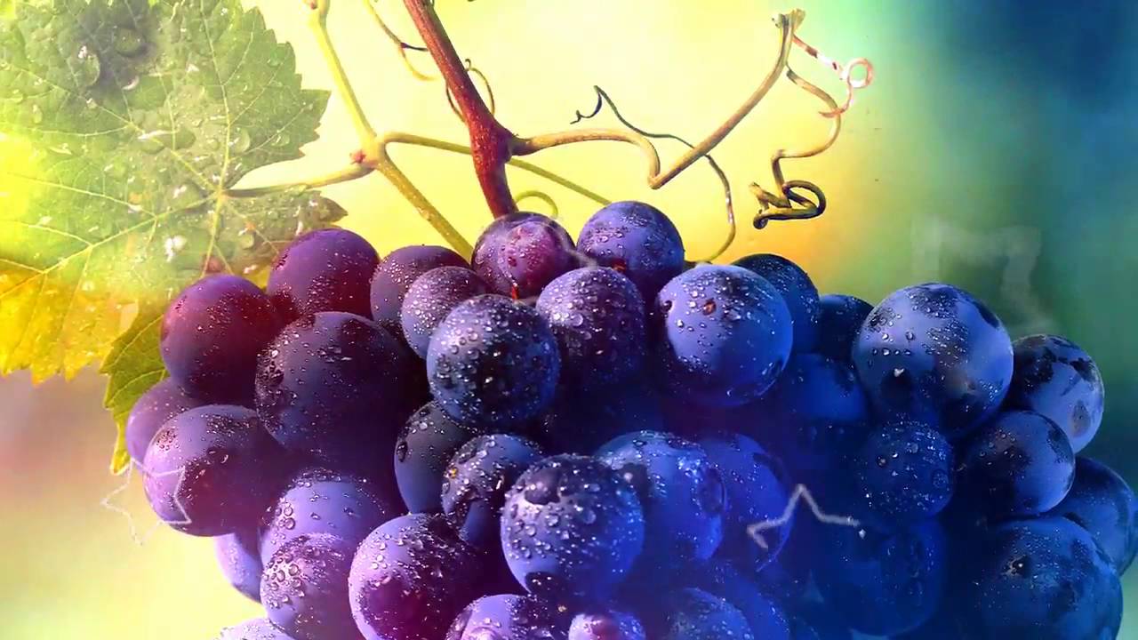 kompot iz vinograda na zimu: recepty na zimu15 Компот з винограду на зиму: рецепти на зиму