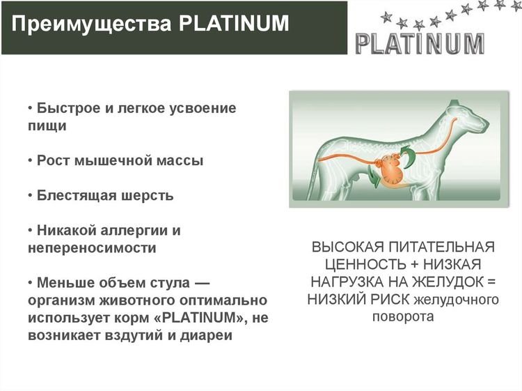 0361774aa64f5405e85e2ebc4990e5a4 Платінум (Platinum) корм для собак: ціна, відгуки, склад