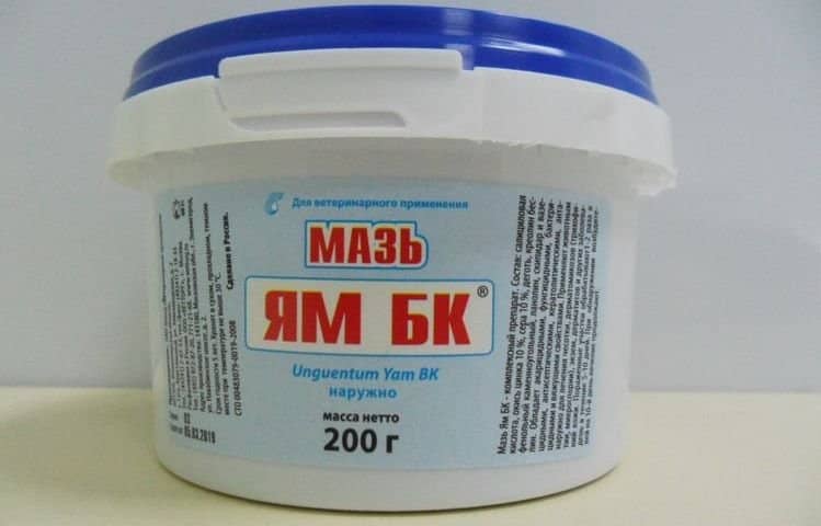 07e7706da0e381a14585791e354dfd4e Мазь від лишаю для кішок | сірчана, цинкова, відгуки, ціни