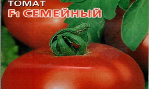 0bcd1335227e0b05a18e601f61466e15 Коли можна садити (сіяти) помідори на розсаду за місячним календарем