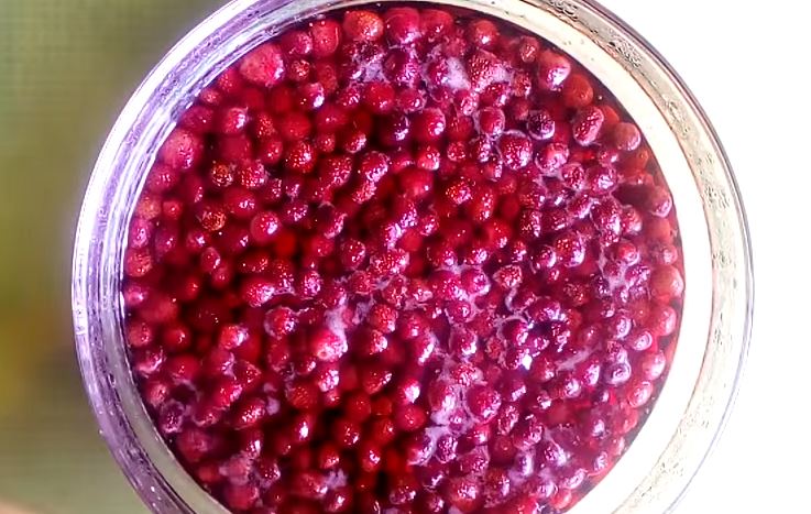 0ffc357d3fddbff2bcd0a39a3a9ada74 Варення з лісової ягоди (суниці, полуниці) на зиму. 5 класичних рецептів, щоб ягоди були цілими