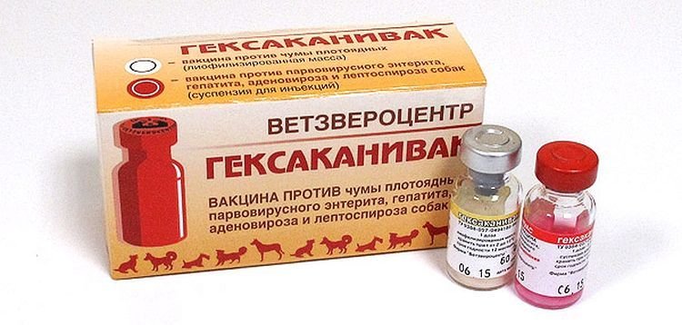 15a501f062f5b122c0b47bf8c78796b8 Вакцина Гексаканивак для собак: інструкція по застосуванню | ціна, відгуки