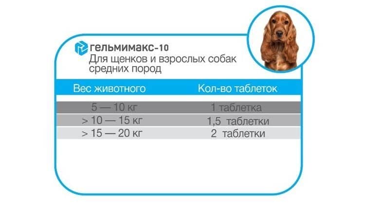 235aa4869e526337927b109276f34adc Гельмимакс для собак: показання та інструкція із застосування, відгуки, ціна