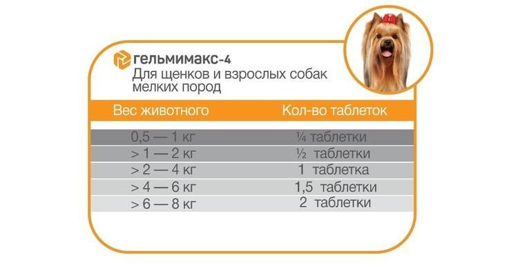 3349ada3fbf2990ae79aa23d34c7e49e Гельмимакс для собак: показання та інструкція із застосування, відгуки, ціна