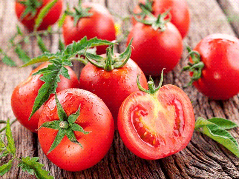5f279f35c73f91d4a02bbe9f87a69403 Кращі сорти томатів для відкритого грунту + які сорти помідор (томати) найурожайніші