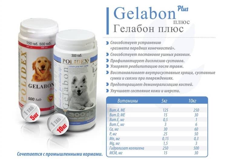 9c6b3f5a6e8018c8a390087691f603c1 Гелабон плюс для собак: показання та інструкція із застосування, відгуки, ціна