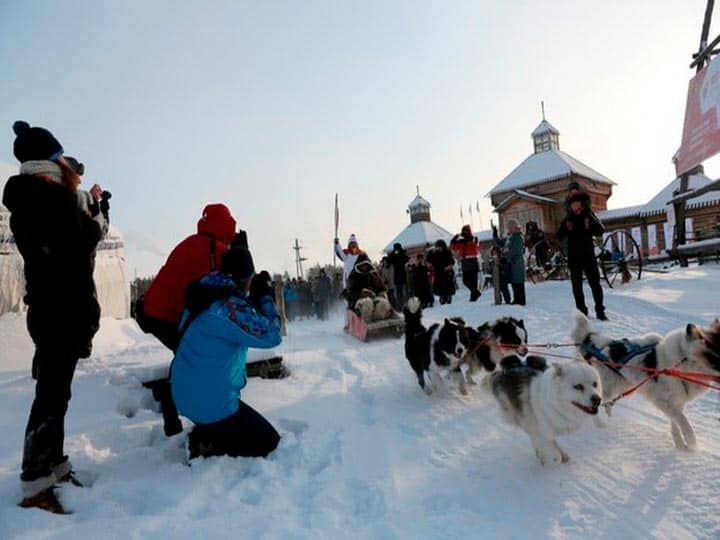 9fd3d9330adaf839a766c9591d2eab00 Якутська Лайка: опис породи собак з фото і відео