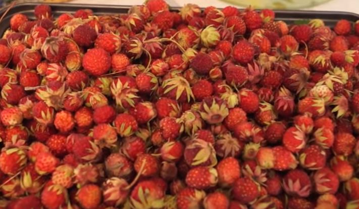 b37b280cc3ac7b3f96ac08d5cb291237 Варення з лісової ягоди (суниці, полуниці) на зиму. 5 класичних рецептів, щоб ягоди були цілими