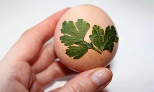 be4c78c879131f9e2b3bc2e17c0c2854 Прикрашаємо (фарбуємо) яйця на Великдень. 12 способів фарбування в домашніх умовах