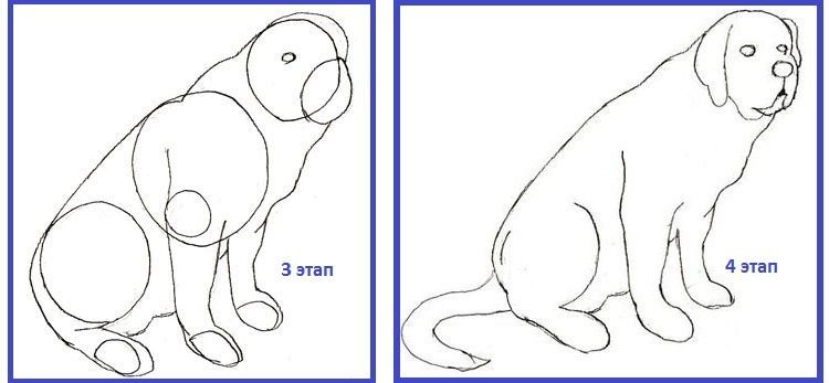 d52f6b27e0aeacbc204d79004d2591d2 Контур собаки: малюнок | як намалювати