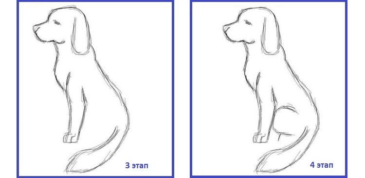da4a241cbce9726c87959e88b366622b Контур собаки: малюнок | як намалювати
