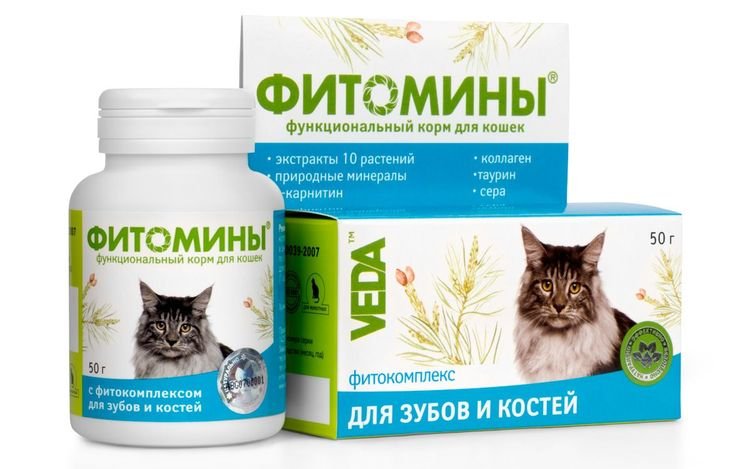  Вітаміни для вовни для кішок | кращі, відгуки ветеринарів