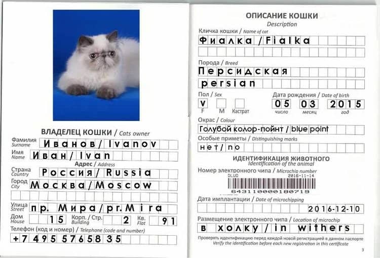ff8af11452f0cfa123867b375a5ae385 Ветеринарний паспорт для кішки: як зробити, скільки коштує, міжнародний, як заповнити