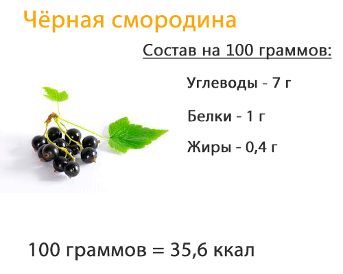 chernaya smorodina: kalorijjnost, sostav, pishhevaya cennost46 Чорна смородина: калорійність, склад, харчова цінність